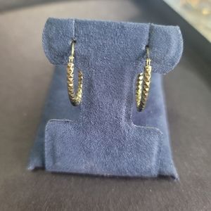 E86  14k gold hoop earrings